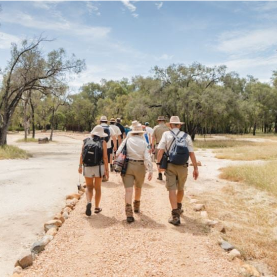 Savannah Guides Field School